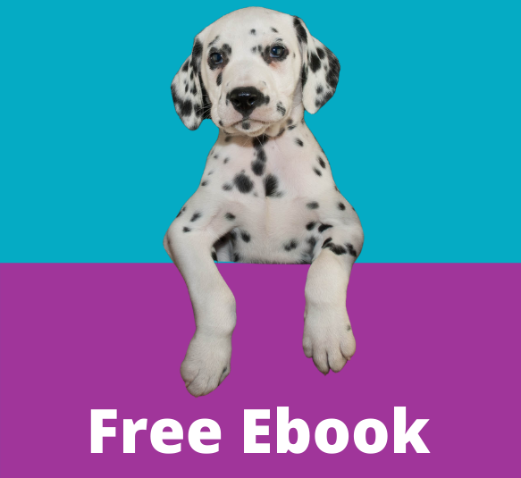 Free Ebook